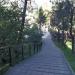 Лестница в городе Сочи