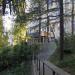 Лестница в городе Сочи
