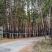 Вказівник баз відпочинку (uk) в городе Святогорск