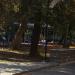 Уличные тренажеры в городе Сочи