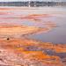 Larnaca Salt Lake