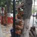 Деревянные скульптуры в городе Сочи