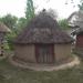 Курник в місті Київ