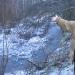 Водоем в городе Лесколово