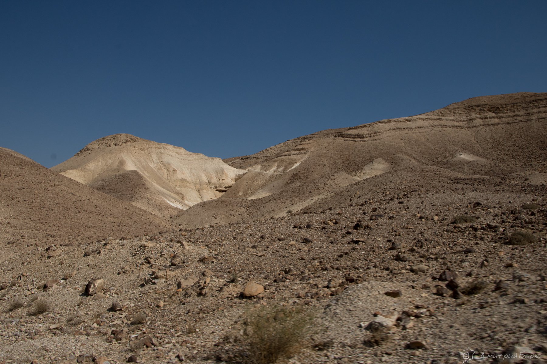 negev-desert