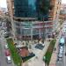 The Cypress tree in Tirana city