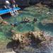 Stingray Diving Stingray PADI Diving Center (ru) in Antalya Metropolitan Municipality city