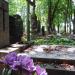 The grave of Florentyna Strycharska in Warsaw city