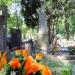 The grave of Peraj and Miłosz family in Warsaw city