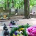The grave of Franciszek Krzemiński in Warsaw city