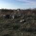 Руины античной постройки в городе Севастополь