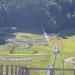 Chiemgau Coaster Sommerrodelbahn