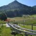 Chiemgau Coaster Sommerrodelbahn