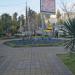 Клумба в городе Сочи