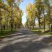 Парк Сибсталь в городе Красноярск