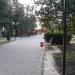 Парк имени Кирова в городе Сочи