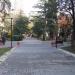 Парк имени Кирова в городе Сочи
