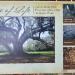 Tree of Life in New Orleans, Louisiana city