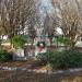 Eagle in New Orleans, Louisiana city