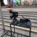 Кинотеатр «Победа» в городе Пинск