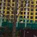 Баскетбольная площадка в городе Сочи