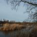 Island (en) в городе Славянск