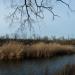 Island (en) в городе Славянск
