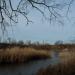 Island (en) в городе Славянск