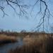 Island (en) в городе Славянск