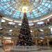 Trade Center Stolitsa (Capital) in Minsk city