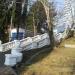 Лестница в городе Сочи