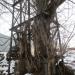Угловая опора ЛЭП в городе Кимры