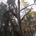 Двор дома 15 с детской площадкой в городе Сочи