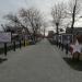Аллея почетных граждан Аксайского района и города Аксая в городе Аксай