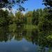 Staw Polkowiec (pl) in Tychy city
