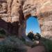 Pine Tree Arch