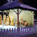 Різдвяний вертеп в місті Житомир