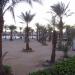 Пляж отелей Fayrouz Resort 4* и Sharm Dreams Resort 5*