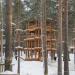 Веревочный парк в городе Екатеринбург