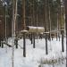 Веревочный парк в городе Екатеринбург