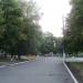 Старый парк в городе Раздельная