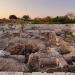 Tyre Archeological Site