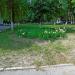Flower bed in Homieĺ city