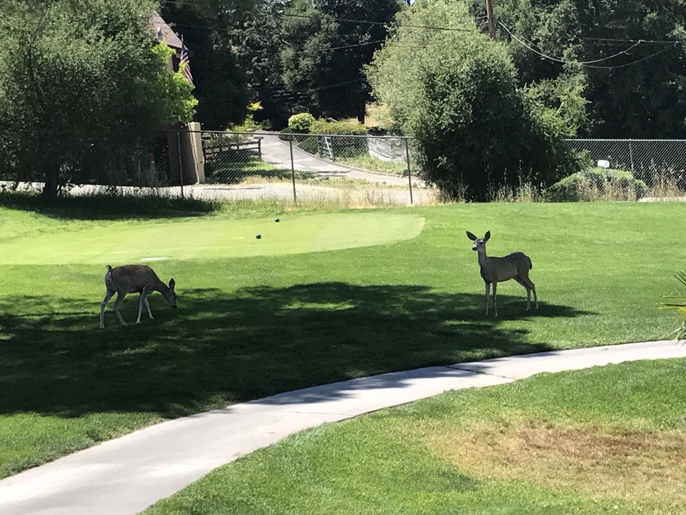 Chalk Mountain Golf Course Atascadero, California