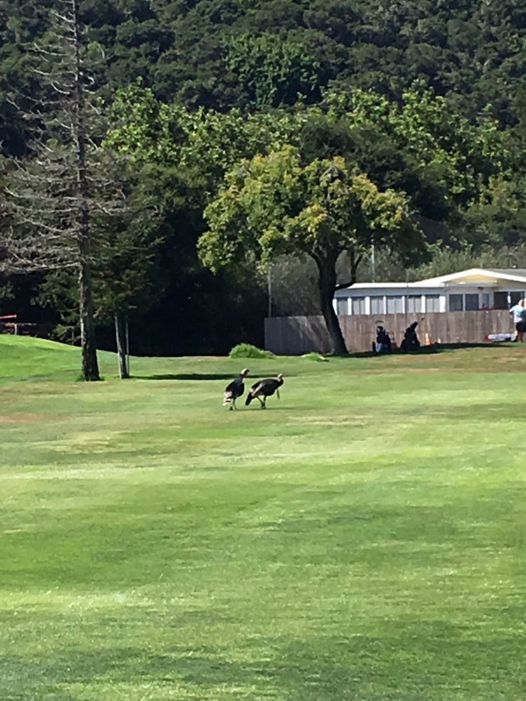 Laguna Lake Municipal Golf Course San Luis Obispo, California