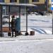 Остановка «Дамбовская » в городе Тюмень