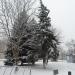 Клумба (uk) в городе Славянск