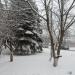 Клумба (uk) в городе Славянск