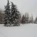 Аллея Славы в городе Славянск