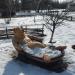 Скульптура «Свиня у кориті» (uk) в городе Славянск